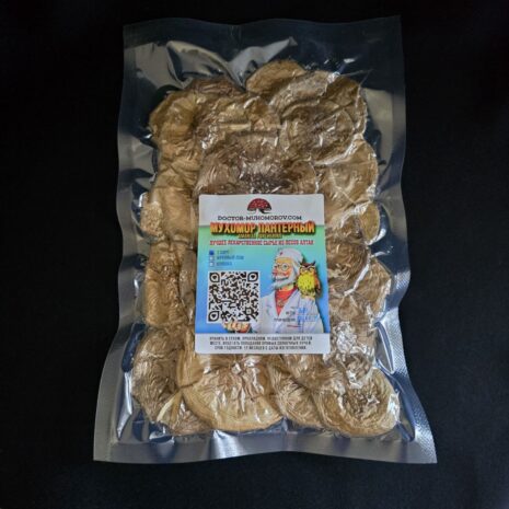 photo_2024-09-06_23-39-13 photo_2024-09-06_23-39-13