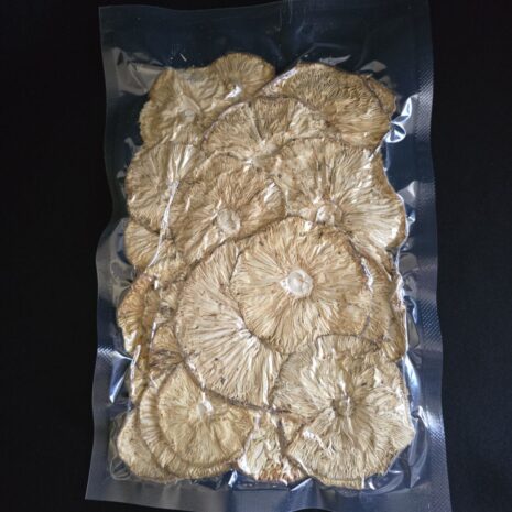 photo_2024-09-06_23-39-39 photo_2024-09-06_23-39-39