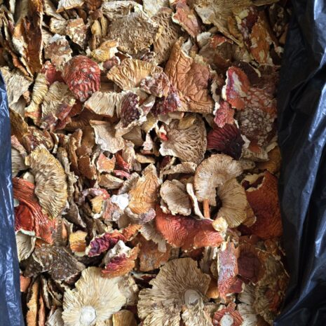 photo_2024-07-20_02-19-25 photo_2024-07-20_02-19-25