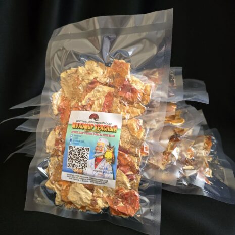 photo_2024-09-02_09-02-48 photo_2024-09-02_09-02-48