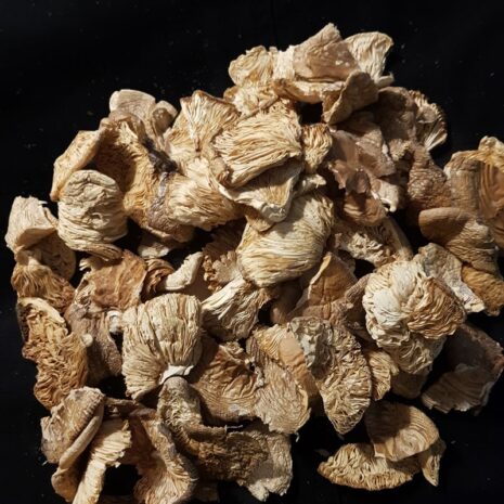 Пантерный лом 2023 Лом партерных мухоморов