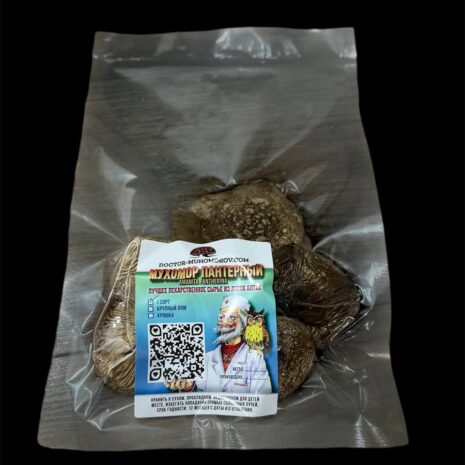 photo_2025-09-20_13-20-38 photo_2025-09-20_13-20-38